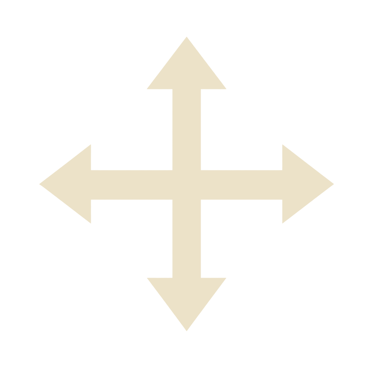 Move icon